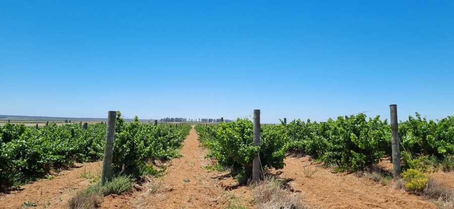 0 Bedroom Property for Sale in Nieuwoudtville Northern Cape